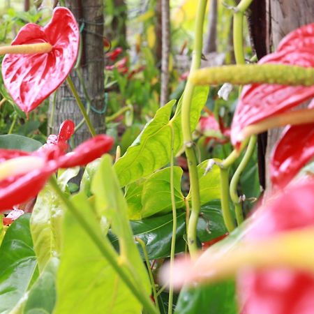 La Kaz Fleur Vanille Saint-Benoît Eksteriør bilde